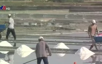Nghịch lý diêm dân sợ... được mùa muối