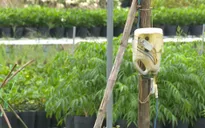 Đồng Tháp khuyến cáo cẩn trọng sử dụng điện trong mùa mưa bão
