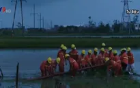 Khắc phục xong toàn bộ sự cố lưới điện trung áp do bão số 1