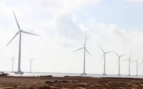 Nhiều tiềm năng phát triển điện gió ở ĐBSCL