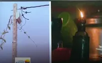Bình Phước: Đóng góp 300 triệu đồng, người dân chờ cả năm chưa có điện