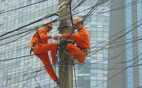 EVN khẳng định năm 2016 kinh doanh có lãi