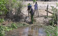 Gia Lai: Hai chị em bị điện giật bên bờ suối, một trẻ thiệt mạng