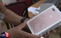 Nhiều iPhone 7 được chuyển từ... Móng Cái về Hà Nội tiêu thụ