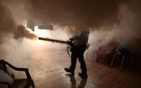 Brazil đẩy mạnh ngăn chặn dịch bệnh do virus Zika