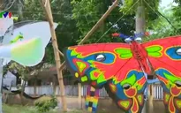 Festival Huế 2016: Diều ba miền khoe sắc