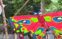Khai mạc Liên hoan Diều Festival Huế 2016