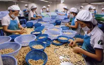 Thị trường nông sản: Làm gì để tăng trưởng xuất khẩu?