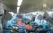 Năng suất lao động: Vì sao Việt Nam luôn đứng cuối bảng?