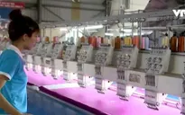 Cổ đông Nhà nước thích ứng với cơ chế vận hành DN