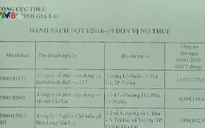 Gia Lai công bố 9 doanh nghiệp nợ thuế