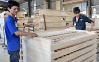 Phát triển doanh nghiệp tư nhân: Thiếu chính sách được áp dụng thực tiễn