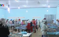 Phú Yên: Xử phạt doanh nghiệp xả thải chưa qua xử lý ra môi trường