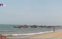 Giới khoa học khẳng định vệt nước đỏ ở vùng biển Quảng Bình là thủy triều đỏ