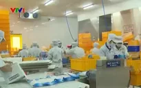 Doanh nghiệp xuất khẩu đội phí bởi chính sách siết vay ngoại tệ