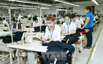 DN EU phản hồi tích cực về môi trường kinh doanh tại Việt Nam