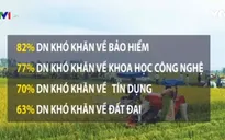 Doanh nghiệp đầu tư nông nghiệp còn nhiều vướng mắc