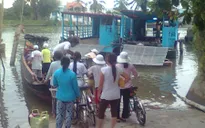Hậu Giang: Hàng trăm bến đò hoạt động không phép