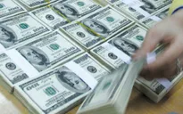 Kiều hối về TP.HCM đạt hơn 1,3 tỷ USD