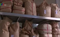 “Lỗ hổng” trong quản lý thị trường thuốc Đông dược