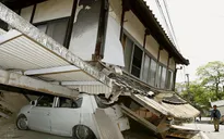Sinh hoạt của người Việt sau vụ động đất ở Nhật Bản tạm thời ổn định