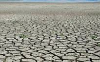 Cảnh báo hạn nặng tại Nghệ An