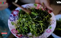 Ngọn hoa ban xào tỏi: Hương vị khó quên của núi rừng Tây Bắc