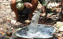 Đồng Nai: Chưa khẳng định nước giếng đục là do chăn nuôi heo