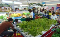 Thực phẩm sạch tại Tuần lễ “Nông sản an toàn” hút các bà nội trợ