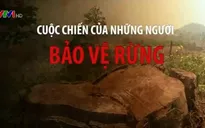 Những nguy hiểm rình rập khi làm kiểm lâm