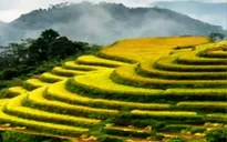 Đẩy mạnh quảng bá du lịch Việt Nam qua Google và mạng xã hội