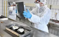 Đức tiêu hủy gần 30.000 con gia cầm