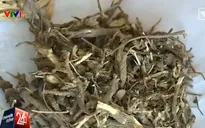 Chữa bệnh bằng dược liệu: Người dùng chi tiền triệu chỉ để mua niềm tin?