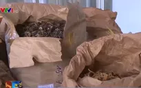 Kiên Giang: Dấu hiệu bất thường trong hồ sơ đưa dược liệu vào bệnh viện