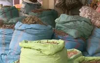 Công khai bán dược liệu trôi nổi tại TP.HCM