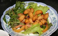 Đuông dừa miền Tây bày bán tràn lan tại TP.HCM