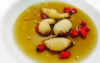 Kinh hãi những món ăn chế biến từ côn trùng được cho là bổ dưỡng
