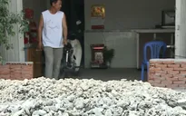 Hơn 50 DN ngưng hoạt động do nâng đường Kinh Dương Vương