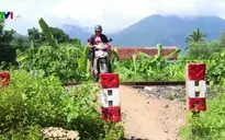 Gia tăng tai nạn giao thông đường sắt tại Bình Định