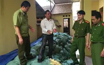 Phát hiện 22 tấn măng tẩm hóa chất độc hại tại Bắc Giang