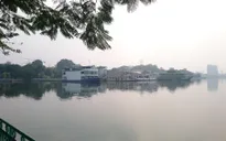 Vụ cá chết trắng Hồ Tây: Toàn bộ nước mặt của hồ không có oxy