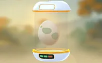 Pokémon GO: Hướng dẫn ấp trứng Pokémon