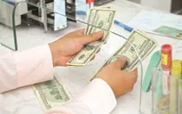 Không lo kiều hối đổi chiều trong năm 2016