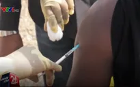 Vaccine Ebola mới cho kết quả thử nghiệm khả quan