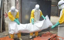 Dịch Ebola không còn là mối đe dọa toàn cầu