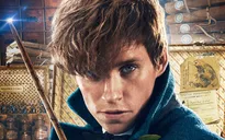 Eddie Redmayne sợ hãi tột độ khi ghi hình Fantastic Beast