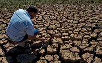 El Nino ảnh hưởng đến 60 triệu người trên thế giới