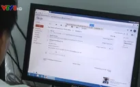 Đà Nẵng: Mạo danh email giám đốc Sở GD&ĐT để chỉ đạo về... sữa