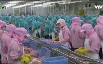 EU sẽ thanh tra toàn diện thực phẩm thủy sản nuôi