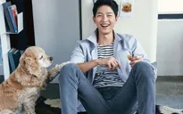 Song Joong Ki đóng vai khách mời trong phim của bạn thân